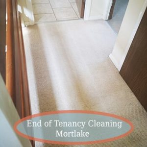 carpet cleaning services mortlake